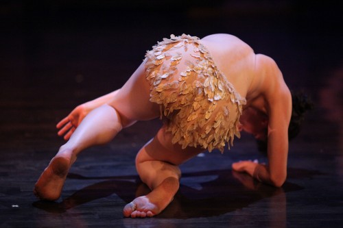 Hen′s Teeth (excerpt)